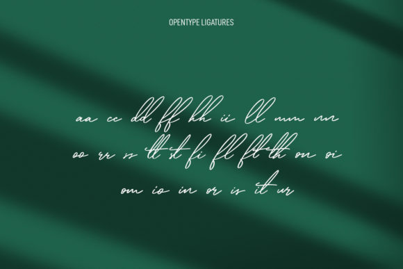 Qualyters Script Font Poster 9