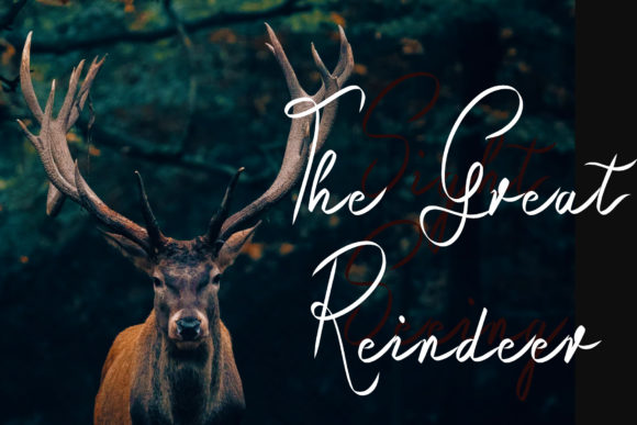 Raindeer Forest Font Poster 2