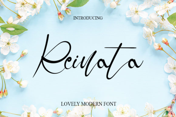 Reinata Font