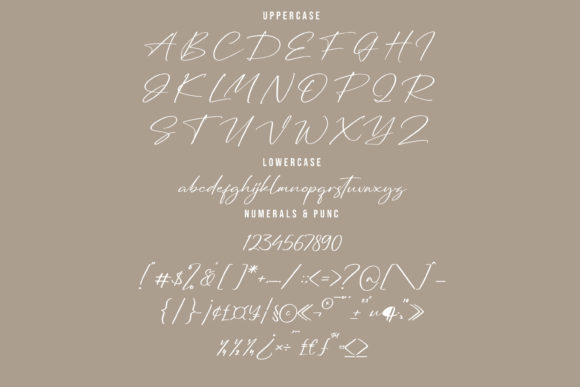 Renaldysta Signature Font Poster 13