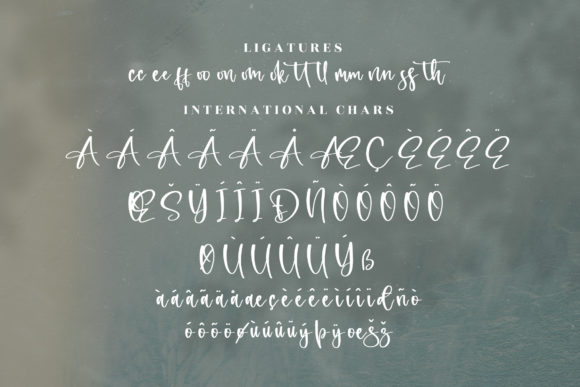 Richella Font Poster 14