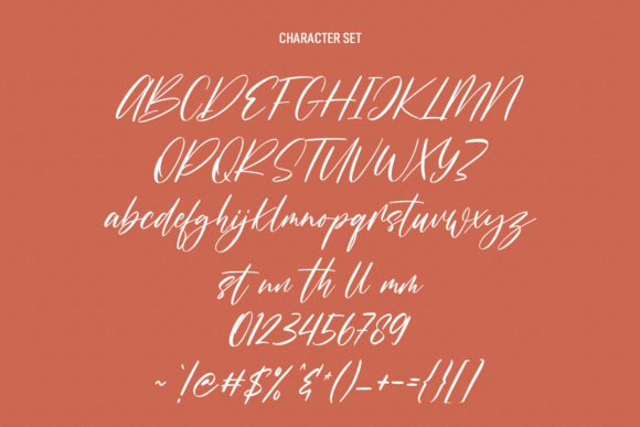 Rissyetta Signature Font Poster 8