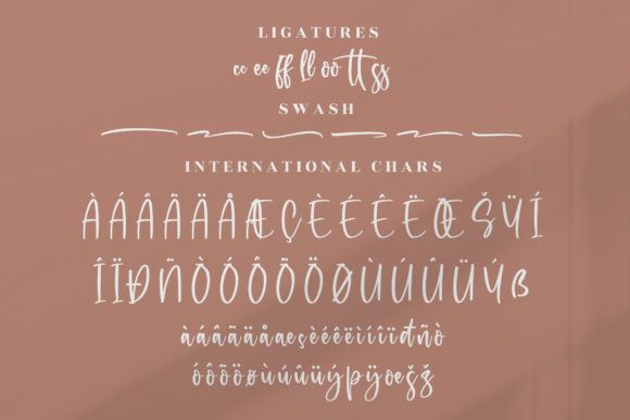 Rollection Font Poster 14