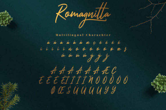 Romagnitta Font Poster 14