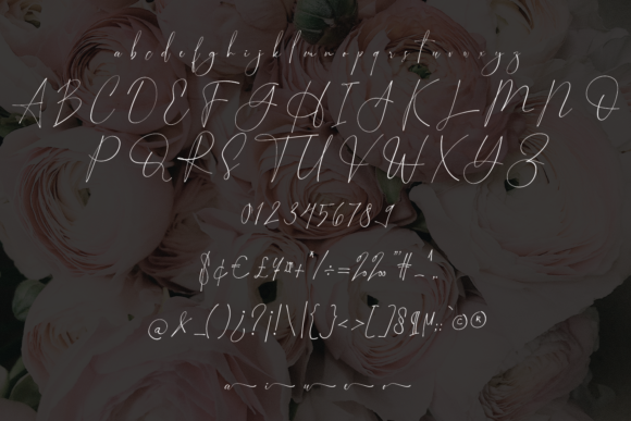 Romance Font Poster 9