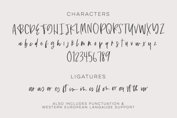 Routinely Script Font Poster 10