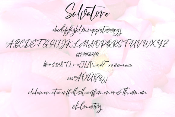 Salvatore Font Poster 5