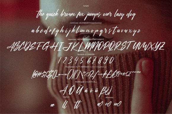 Sattelia Font Poster 6