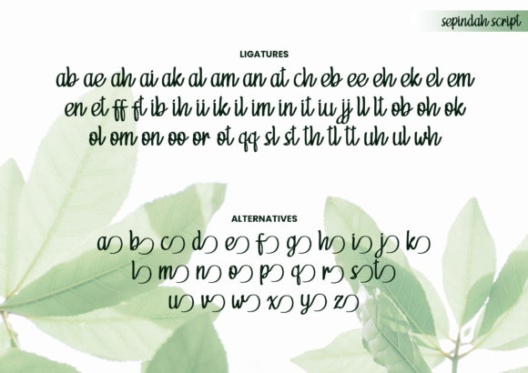 Sepindah Duo Font Poster 12