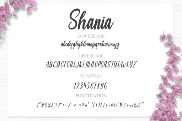 Shania Font Poster 9
