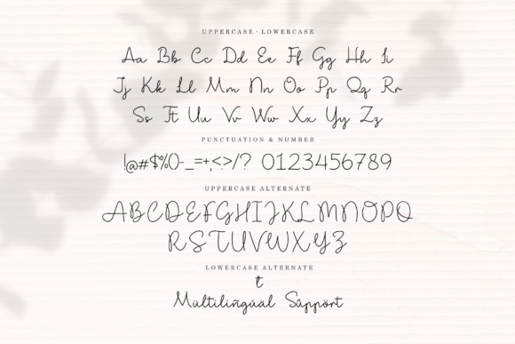 Shibalady Font Poster 9