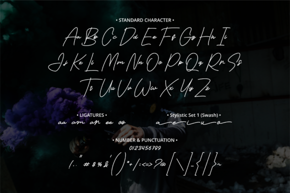 Tamara Falies Font Poster 9