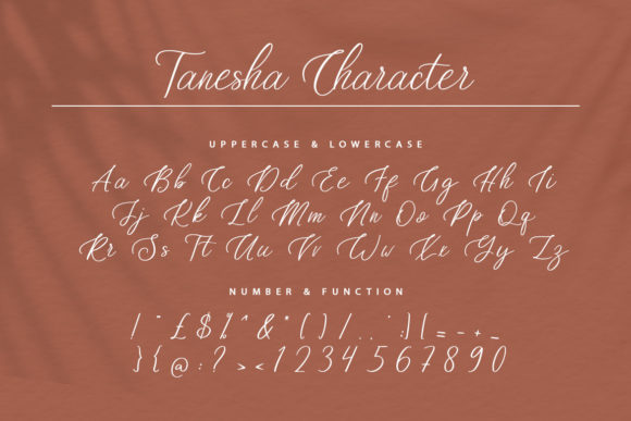 Tanesha Font Poster 8