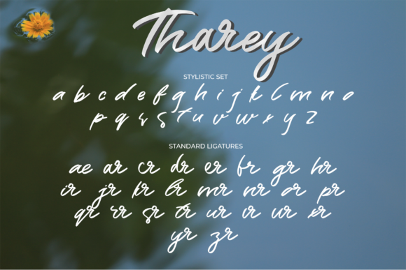 Tharey Font Poster 8