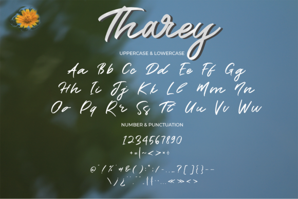 Tharey Font Poster 9