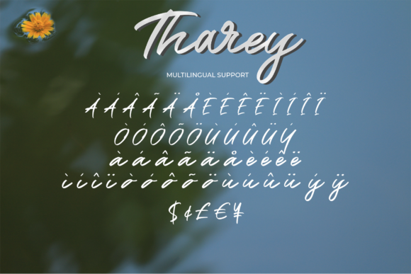 Tharey Font Poster 10