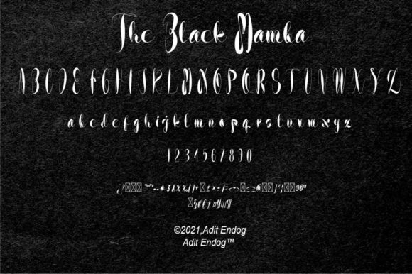 The Black Mamba Font Poster 7