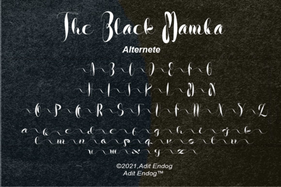 The Black Mamba Font Poster 8