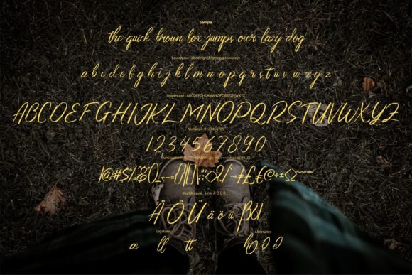 The Roch Noos Script Font Poster 6