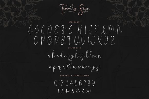 Timothy Sign Font Poster 4