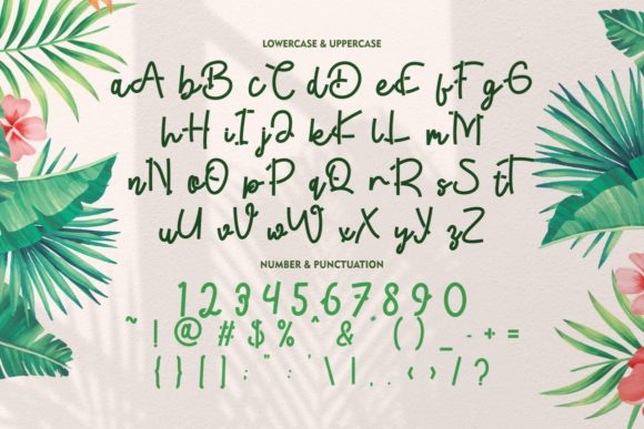 Tropical Beauty Font Poster 12