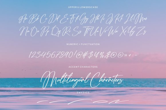 Tropical Harmony Script Font Poster 6