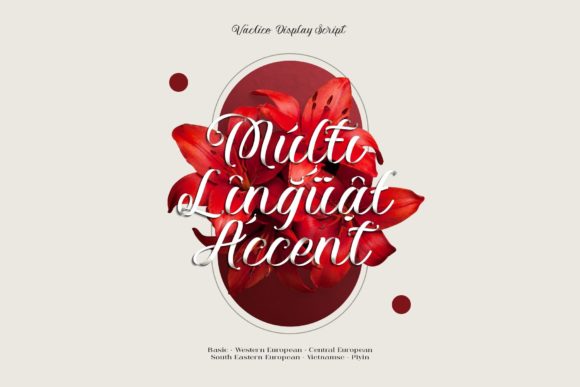 Vaclice Script Font Poster 15