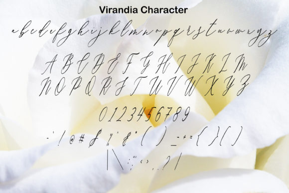 Virandia Font Poster 2