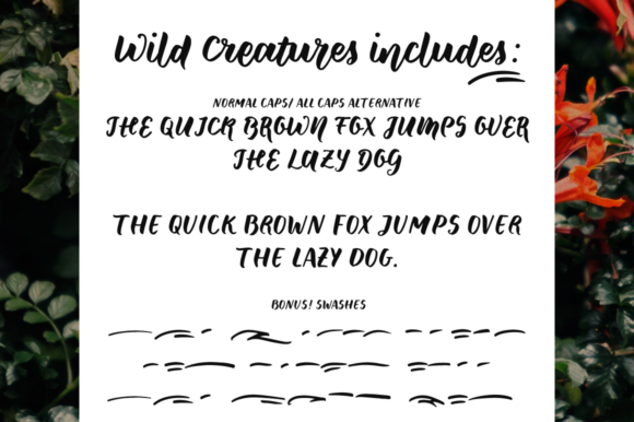 Wild Creatures Font Poster 4