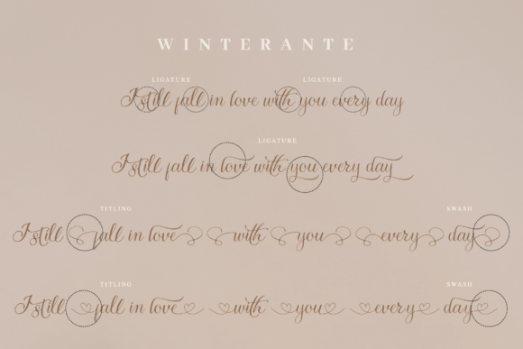 Winterante Font Poster 8