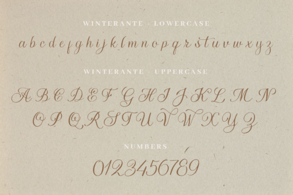 Winterante Font Poster 9