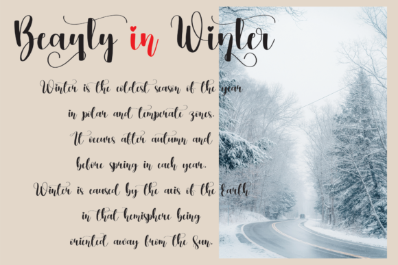 Winterlove Font Poster 3