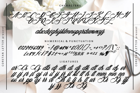 Araulga Laudery Font Poster 3