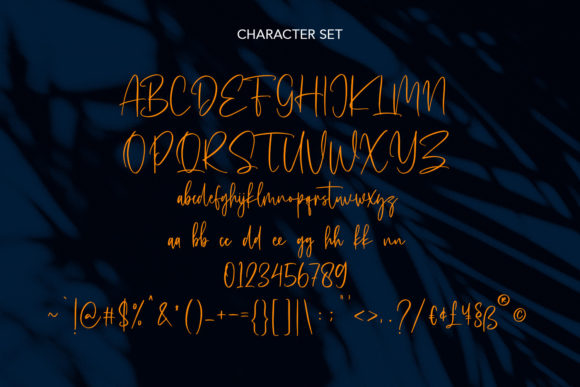 Astavilla Script Font Poster 8