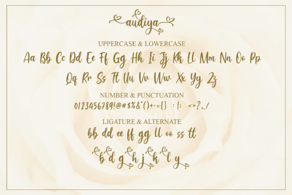 Audiya Font Poster 9