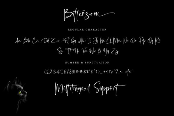 Bittersoni Font Poster 9