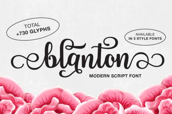 Blanton Script Font Poster 2