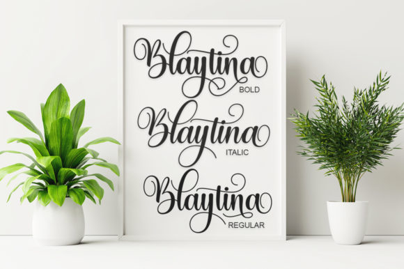 Blaytina Font Poster 4