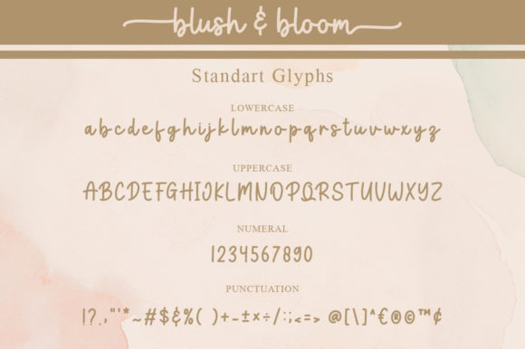 Blush & Bloom Font Poster 9