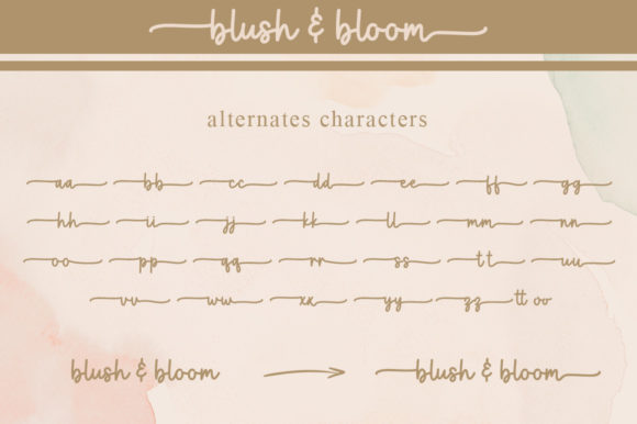 Blush & Bloom Font Poster 10