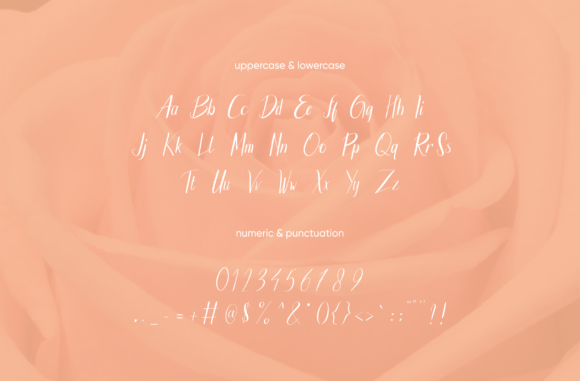 Brigitta Austin Font Poster 8