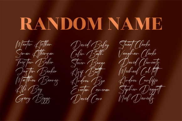 Brotherdam Signature Font Poster 10