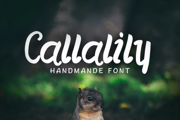 Callalily Font Poster 2