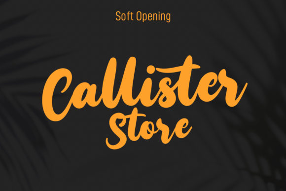 Callways Script Font Poster 7