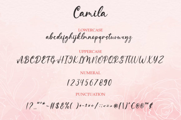 Camila Font Poster 9