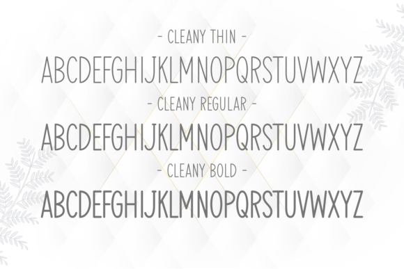 Cleany Font Poster 2