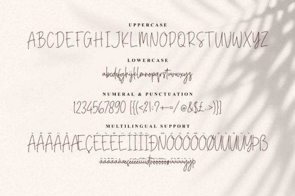 Confidente Signature Font Poster 7