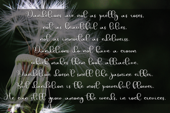 Dandelion Font Poster 5