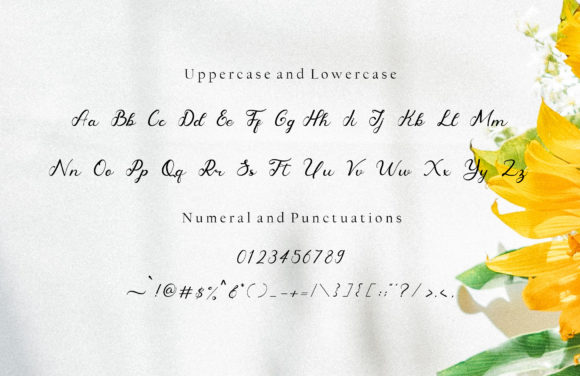 Dandelyon Font Poster 5