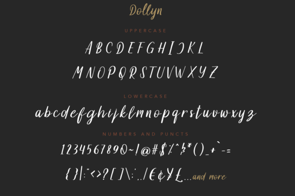 Dollyn Font Poster 9